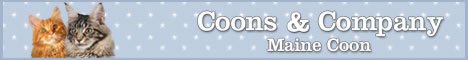 Coons & Company