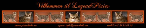 LegendPixies