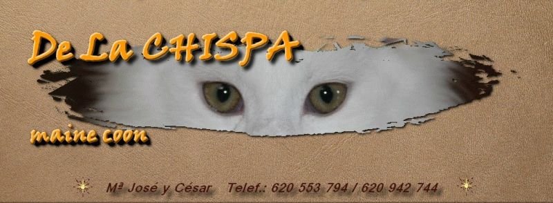 De La CHISPA