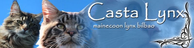 CASTALYNX