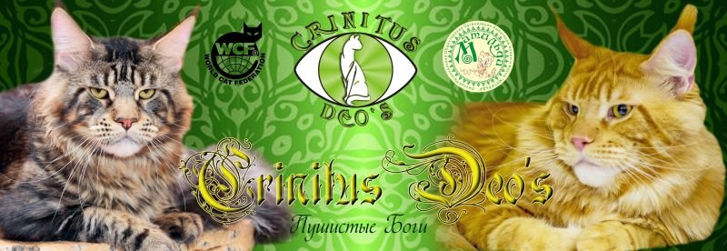 CRINITUS DEO`S