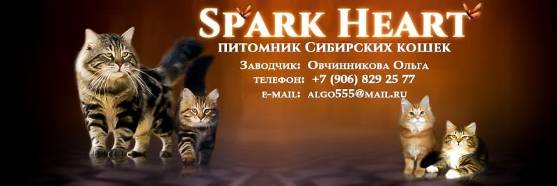 SPARK HEAT