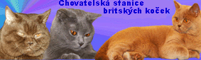 Z Panského dvora
