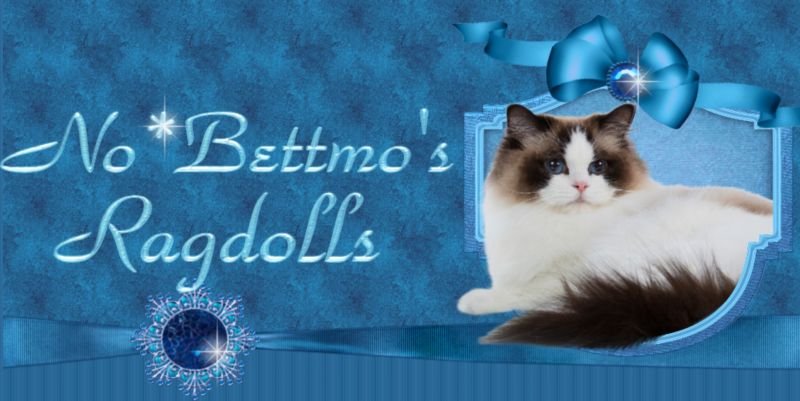NO*Bettmo’s