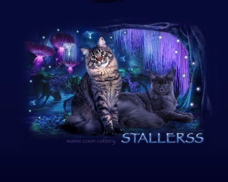 Stallers