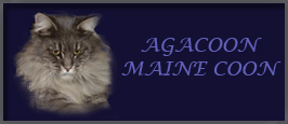 Agacoon