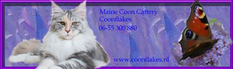 * NL Coonflakes