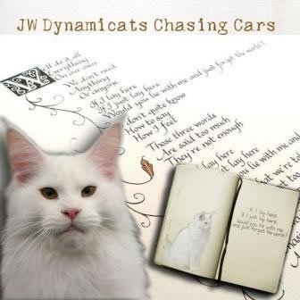 Dynamicats