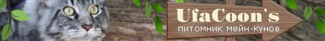 UfaCoon's