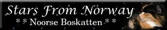 Starsfromnorway