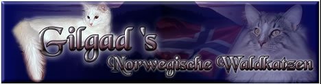 Gilgad's