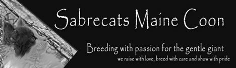 Sabrecats