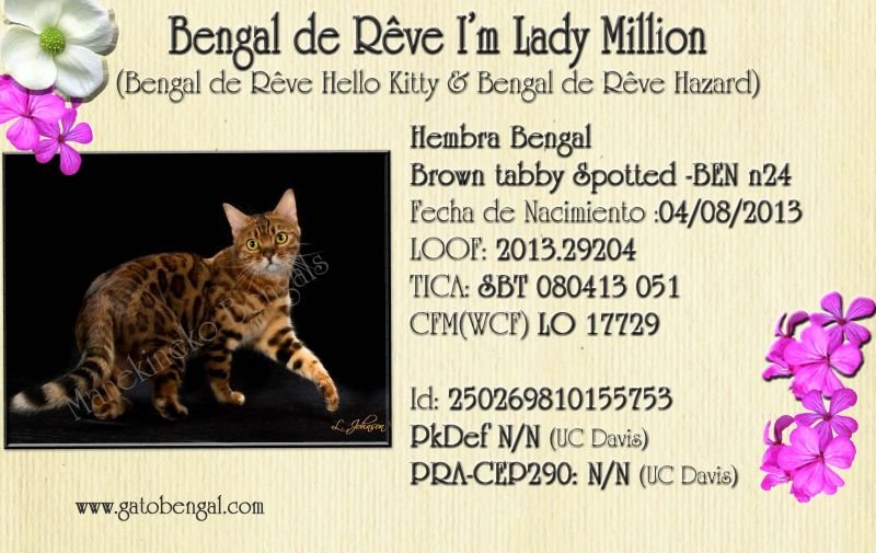 Bengalí
