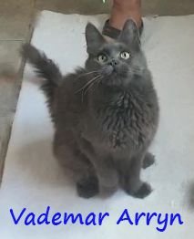 Vademar Arryn
