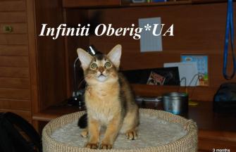 Infiniti