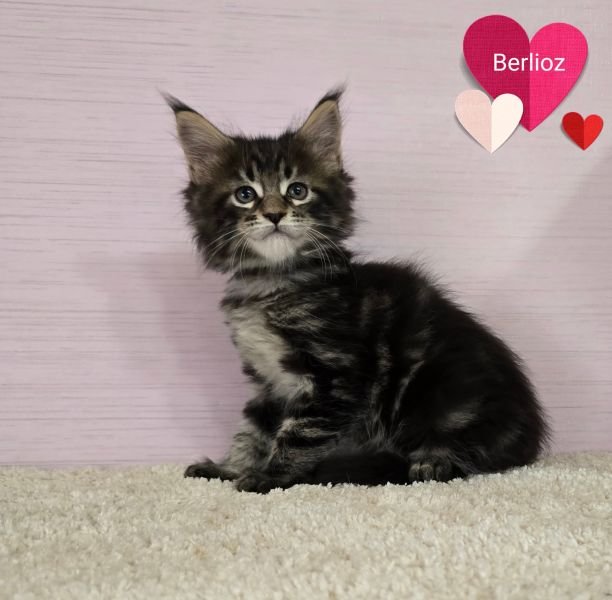 Berlioz
