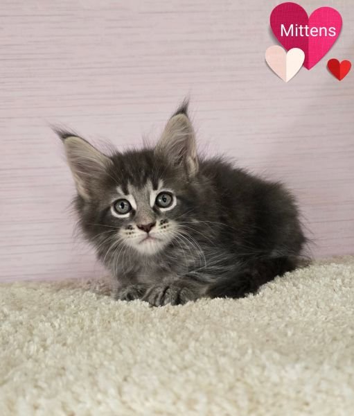 Mittens