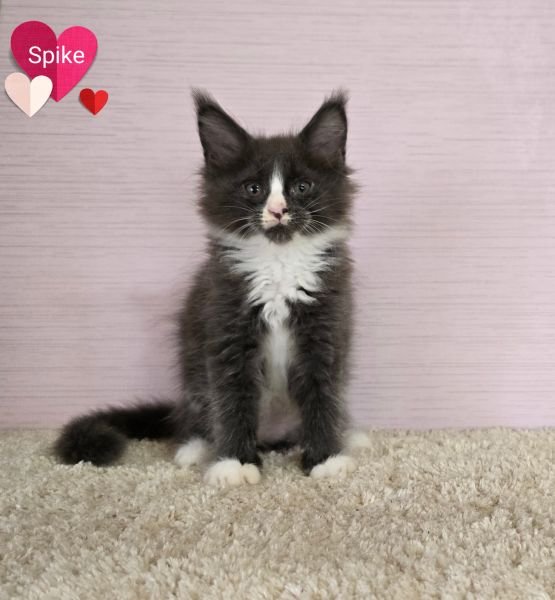 Spike
